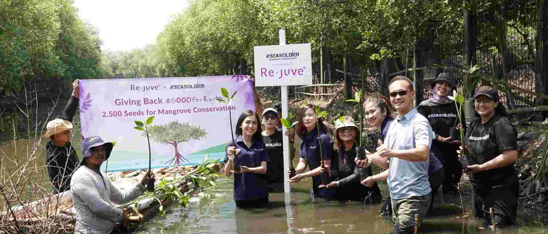 Melanjutkan Aksi Peduli Terhadap Lingkungan Re.juve Tanam 2.500 Bibit Mangrove Bersama Seasoldier