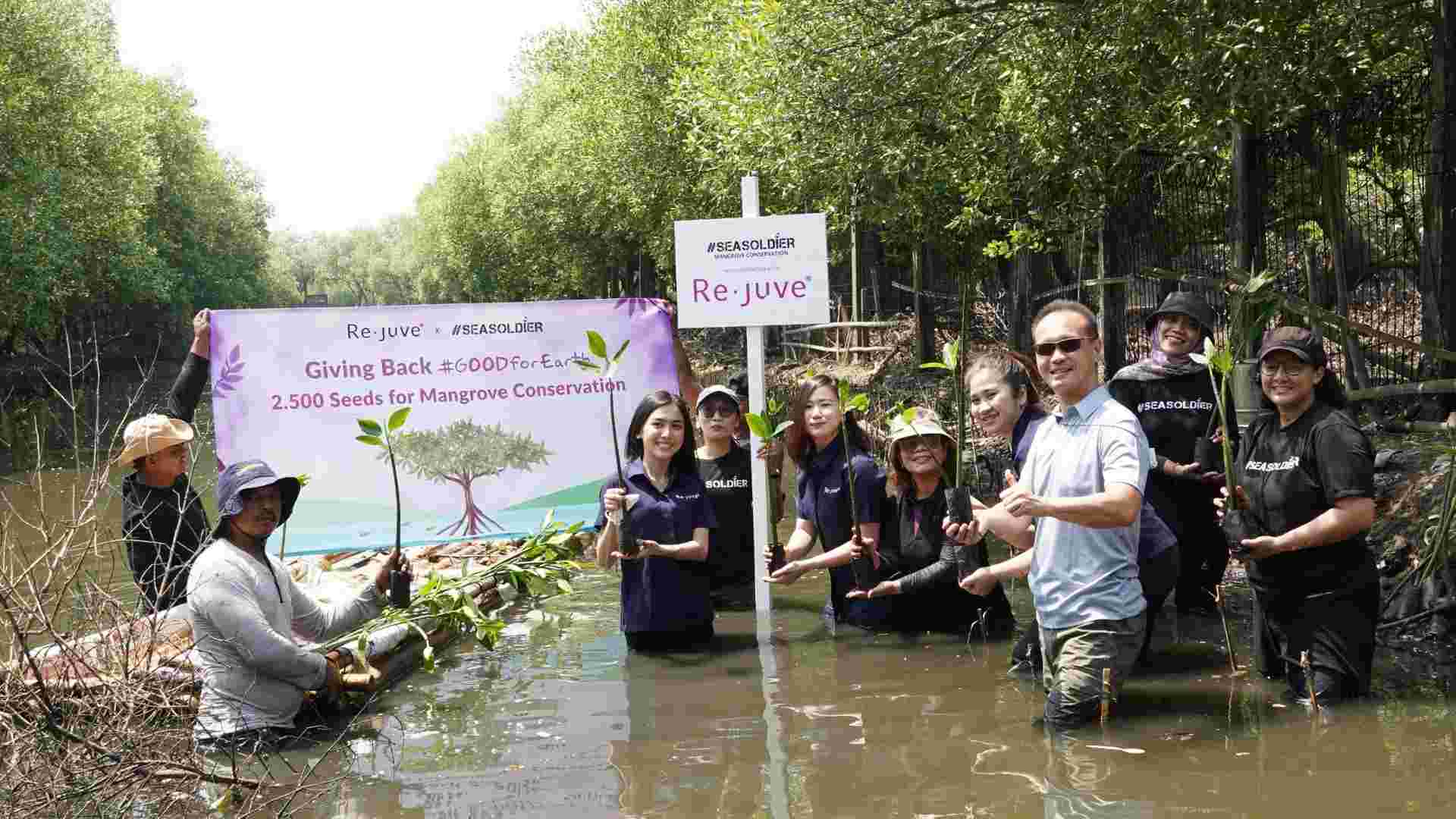 Melanjutkan Aksi Peduli Terhadap Lingkungan Re.juve Tanam 2.500 Bibit Mangrove Bersama Seasoldier